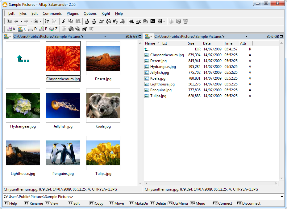 Windows 8 Altap Salamander (x64 bit) full