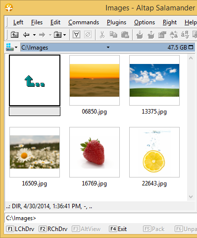 Altap Salamander panel in Thumbnails mode