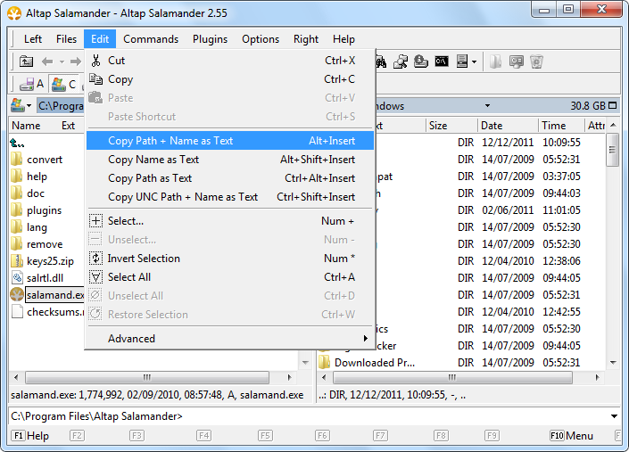 Copy files name with full path in Altap Salamander