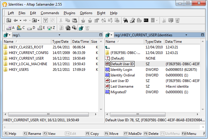 Registry editor plugin for Altap Salamander