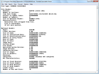 Portable Executable Viewer